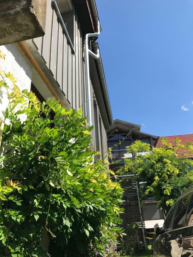 Blackbird´s Nest Wiesenbronn Dış mekan fotoğraf